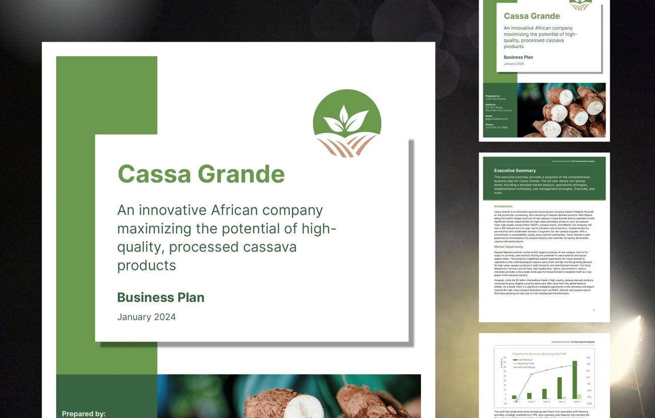 Cassava Products Business Plan: Cassa Grande