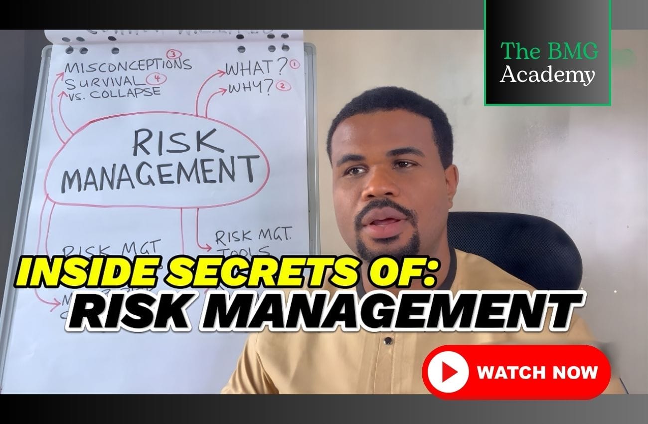 The Inside Secrets of Risk Management: How to Prepare for Costly Surprises and Shocks in Business (Course)